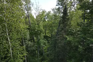 29015 Co Rd 45, Bigfork, MN 56628 - Photo 18