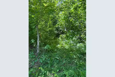 Tbd 300th Lane, McGregor, MN 55760 - Photo 6