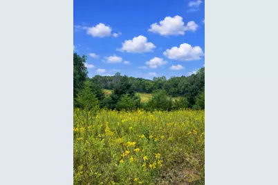 Xxxx Jeffrey Boulevard, Grant, MN 55082 - Photo 2