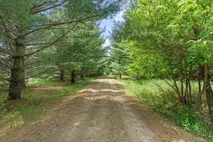 1041 River Dr, River Falls, WI 54022 - Photo 1