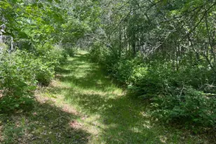 12997 E Mail Rd, Gordon, WI 54838 - Photo 46