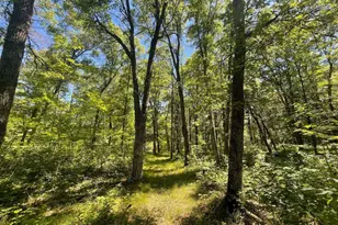 12997 E Mail Rd, Gordon, WI 54838 - Photo 62