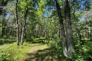12997 E Mail Rd, Gordon, WI 54838 - Photo 54
