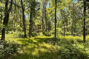 12997 E Mail Rd, Gordon, WI 54838 - Photo 60