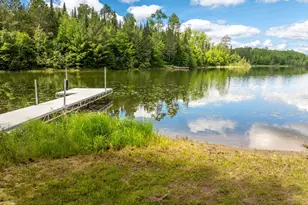 21106 Horsehead Lake Trail, Bigfork, MN 56628 - Photo 4