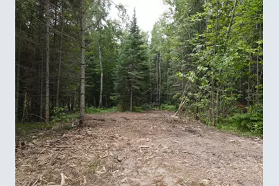 Parcel B County Road 35, Deer River, MN 56636 - Photo 6