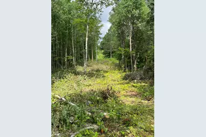 Parcel B County Road 35, Deer River, MN 56636 - Photo 30