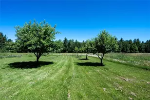 68479 County Hwy C, High Bridge, WI 54846 - Photo 38