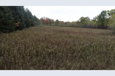 0 20th Avenue, Cadott, WI 54727 - Photo 6