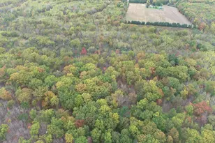 0 20th Ave, Cadott, WI 54727 - Photo 1