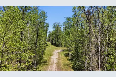 Tbd Tbd Cedar Point Road, Marcell, MN 56657 - Photo 12