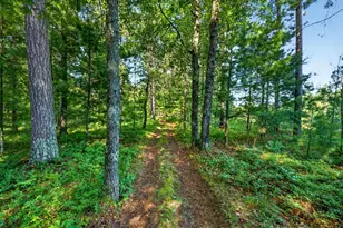 3307 State Road 77, Danbury, WI 54830 - Photo 48