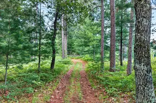 3307 State Road 77, Danbury, WI 54830 - Photo 4