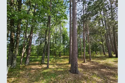 3307 State Road 77, Danbury, WI 54830 - Photo 46