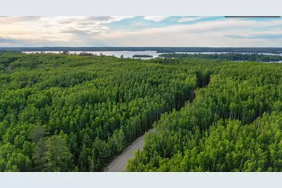 Tbd Parcel X Frazer Bay Road, Cook, MN 55723 - Photo 2