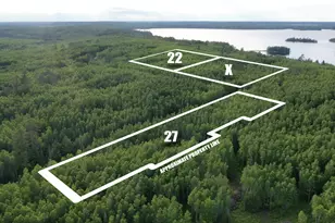 Tbd Parcel 22 Frazer Bay Rd, Cook, MN 55723 - Photo 1