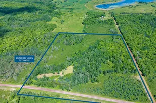 89225 Little Oak Lake Rd, Kerrick, MN 55756 - Photo 1