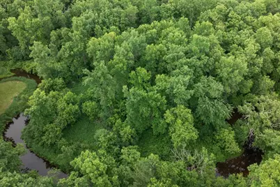 Tbd Mitchell Road, Nisswa, MN 56468 - Photo 12