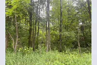 Tbd Sjodahl Road, Sandstone, MN 55072 - Photo 10