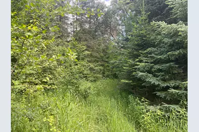 Tbd Sjodahl Road, Sandstone, MN 55072 - Photo 6