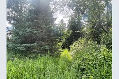 Tbd Sjodahl Road, Sandstone, MN 55072 - Photo 4