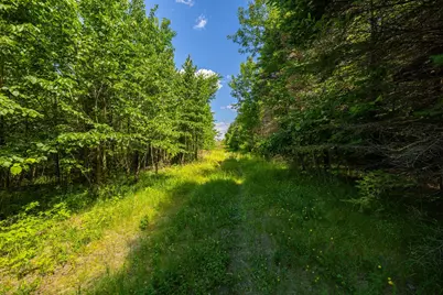 Tbd Base Line Road, Dundas, MN 55019 - Photo 2