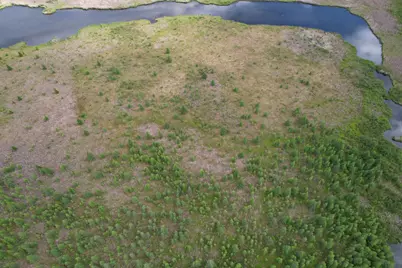 Tbd 340th Street, Menahga, MN 56464 - Photo 6