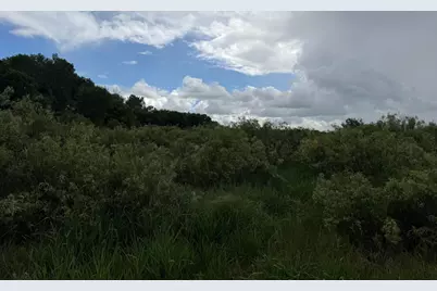 Tbd 340th Street, Menahga, MN 56464 - Photo 26
