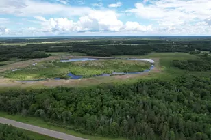 Tbd 340th St, Menahga, MN 56464 - Photo 1