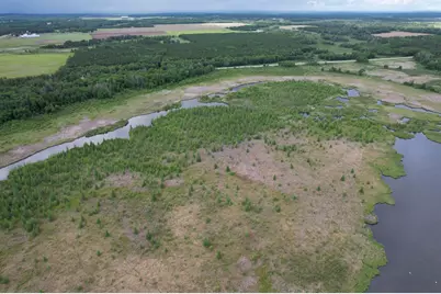 Tbd 340th Street, Menahga, MN 56464 - Photo 8