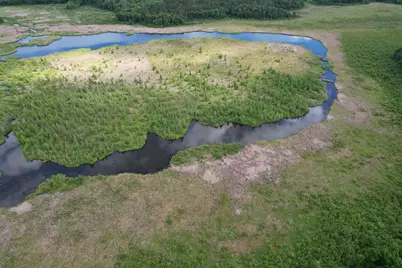 Tbd 340th Street, Menahga, MN 56464 - Photo 4