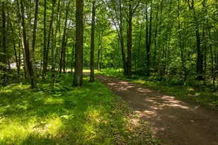 46254 Rutabaga Rd, Askov, MN 55704 - Photo 24