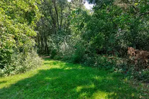 20095 170th St NW, Big Lake, MN 55309 - Photo 16