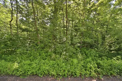 Tbd Meander Way, Garrison, MN 56450 - Photo 2