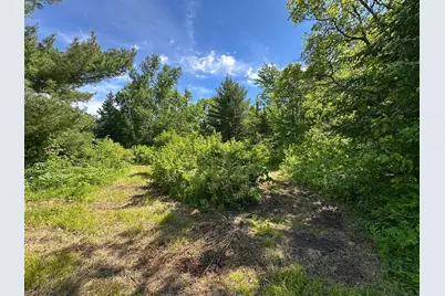 Tbd Oak Leaf Road, Kerrick, MN 55756 - Photo 6