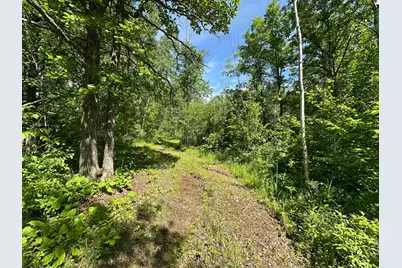 Tbd Oak Leaf Road, Kerrick, MN 55756 - Photo 2