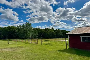 10985 49th Ave SW, Pillager, MN 56473 - Photo 44