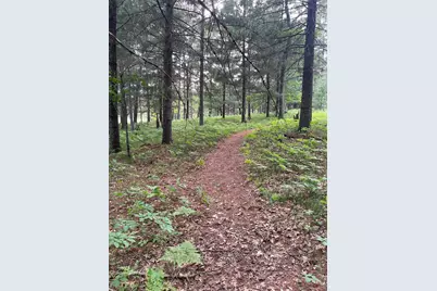 Lot 4 Big Bear Court, Danbury, WI 54830 - Photo 6