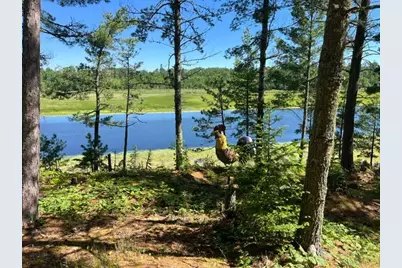 7168 Gold Mine Road, Orr, MN 55771 - Photo 6