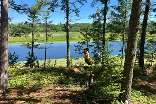 7168 Gold Mine Rd, Orr, MN 55771 - Photo 6