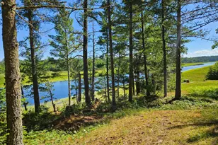 7168 Gold Mine Rd, Orr, MN 55771 - Photo 38