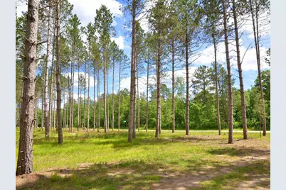 23344 Sleepy Hollow Court, Sebeka, MN 56477 - Photo 6