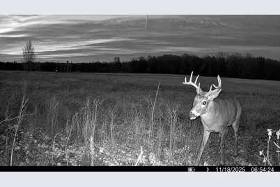 Tbd County Road D, Emerald, WI 54013 - Photo 18