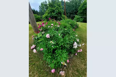 40130 460th Avenue, Perham, MN 56573 - Photo 44