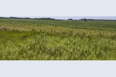 11Xxx Scandia Trail N, Scandia, MN 55073 - Photo 8