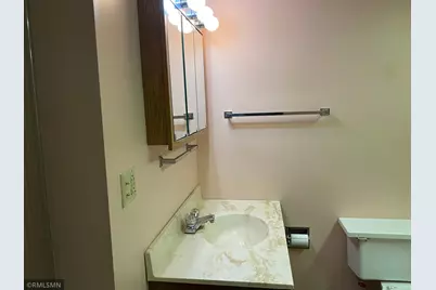 210 Locust Street, Pepin, WI 54759 - Photo 34