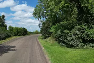 33672 County Road 15, Morton, MN 56270 - Photo 34