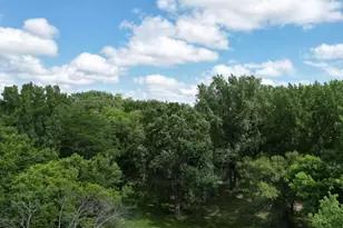 33672 County Road 15, Morton, MN 56270 - Photo 36