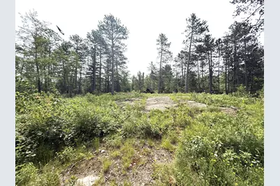 1648 Golden Ridge Trail, Ely, MN 55731 - Photo 8