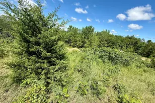 13473 Bittner Dr, Sauk Centre Township, MN 56378 - Photo 28